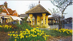 Cranleigh