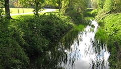 Ashford