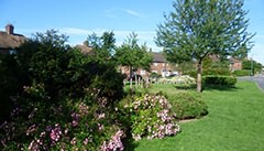 Dartford