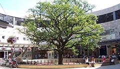 Milton Keynes