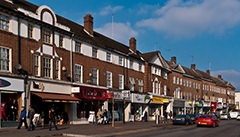 Orpington