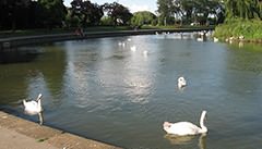Wellingborough