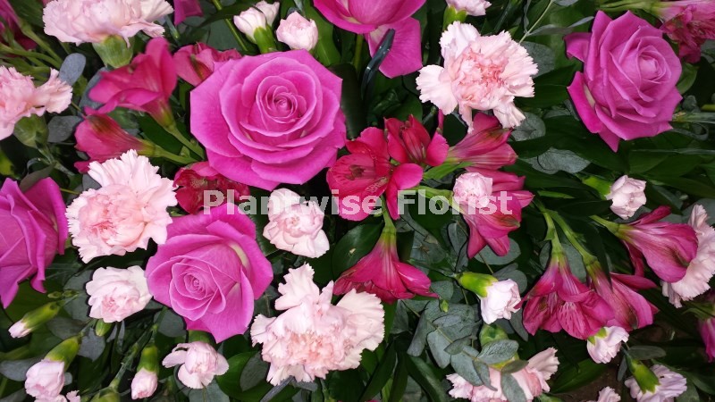 Plantwise Florist Image
