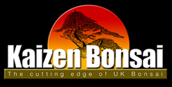 Kaizen Bonsai Ltd Image